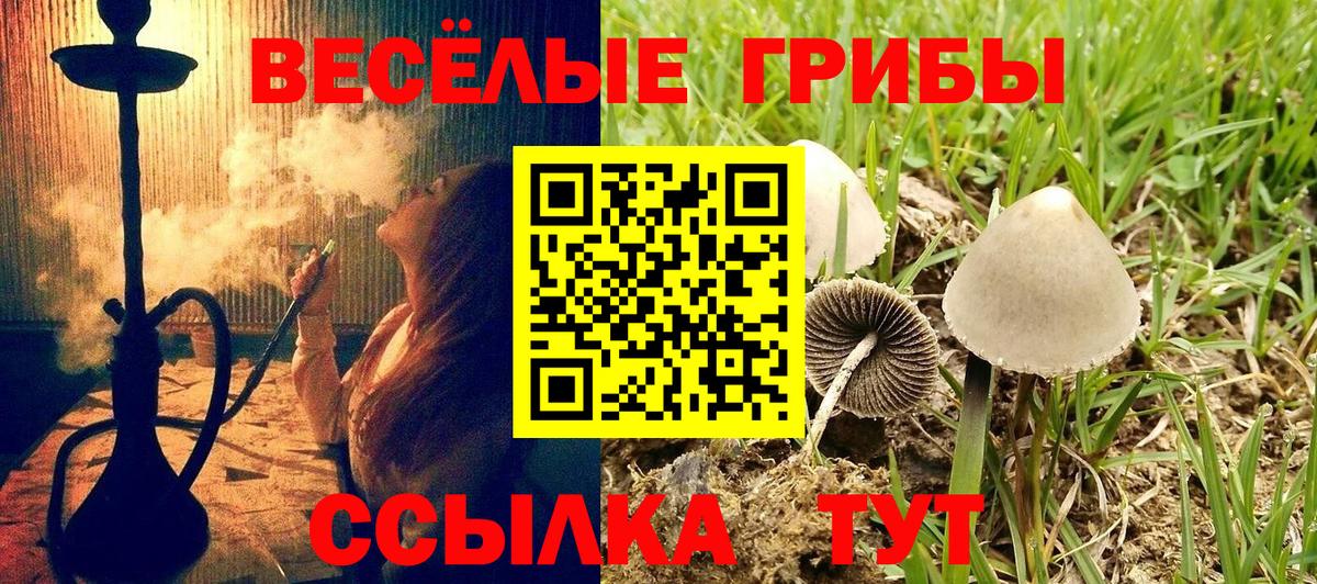 купить   Псилоцибиновые грибы Magic Shrooms  Вход с VPN  Галлюциногенные грибы Cubensis  Зеленокумск 